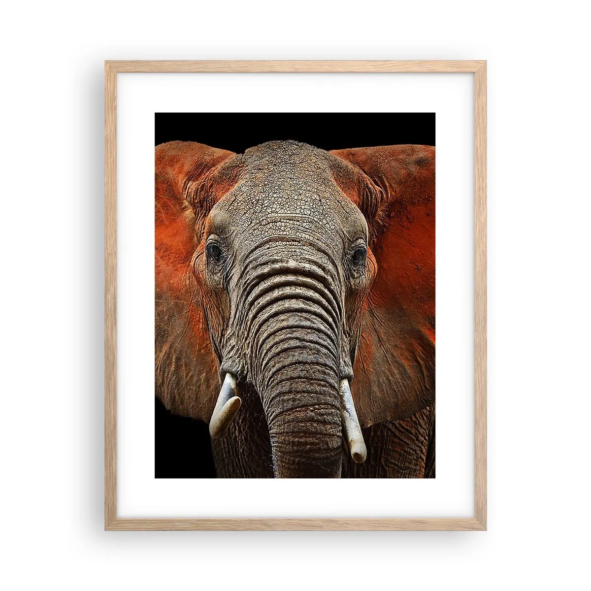 Affiche dans un chêne clair - Poster - Je suis sauvage, et toi? - 40x50 cm