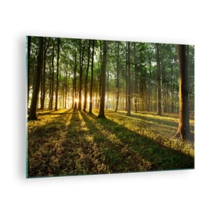 Impression sur verre - Image sur verre - Une clairière forestière illuminée par les rayons du soleil levant - 70x50cm - Toutes les photographies de printemps - Décoration murale moderne pour le salon et la chambre ARTTOR
