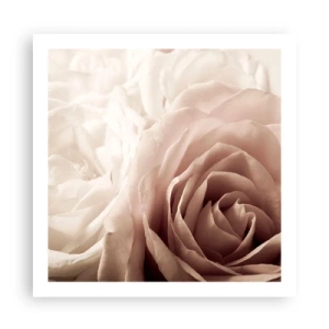 Affiche - Poster - Au coeur d'ue la rose - 60x60 cm