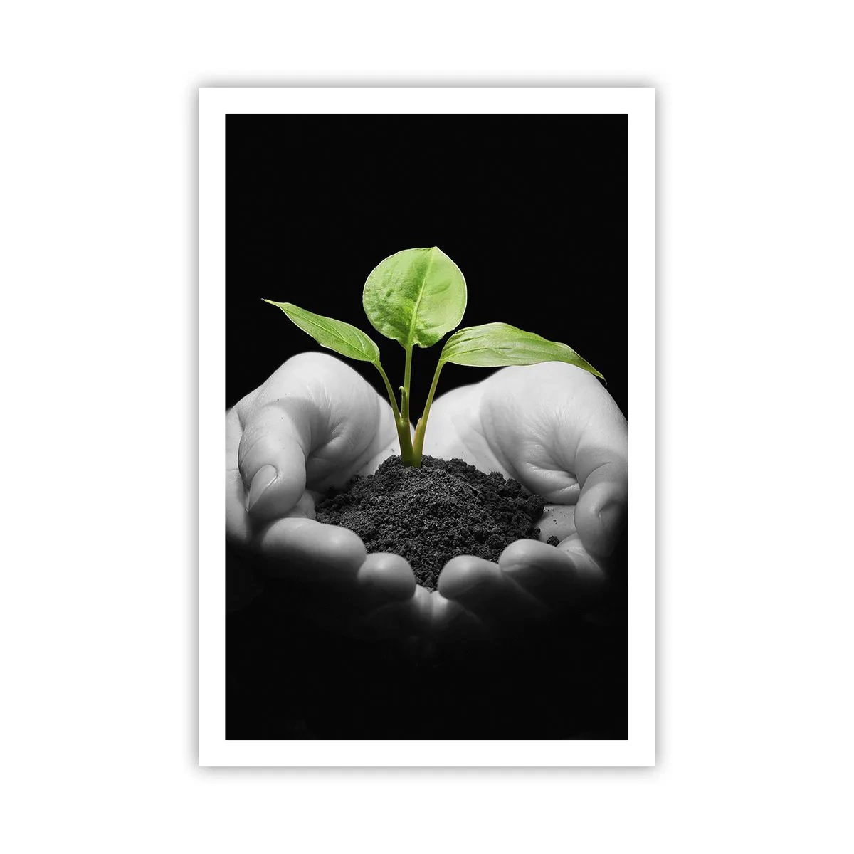Affiche - Poster - J'aime la nature, je la protège - 61x91 cm