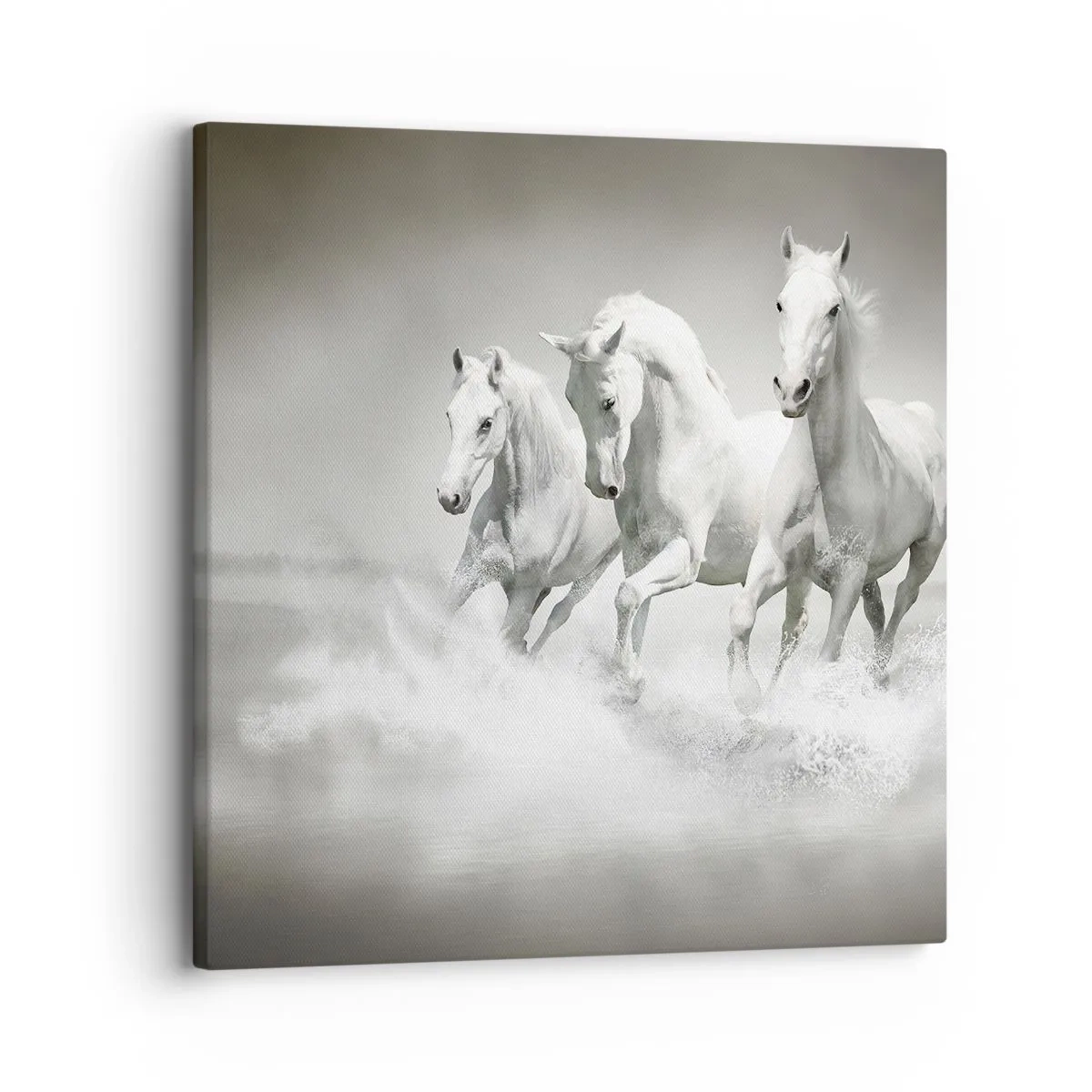 Impression sur toile - Image sur toile - La folie blanche - 30x30 cm