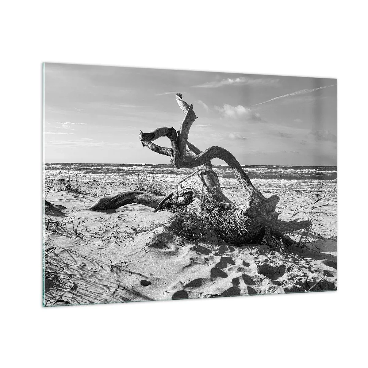 Impression sur verre - Image sur verre - Un paysage en noir et blanc avec une branche tombée sur une plage en bord de mer. - 100x70cm - Sculpture marine - Décoration murale moderne pour le salon et la chambre ARTTOR