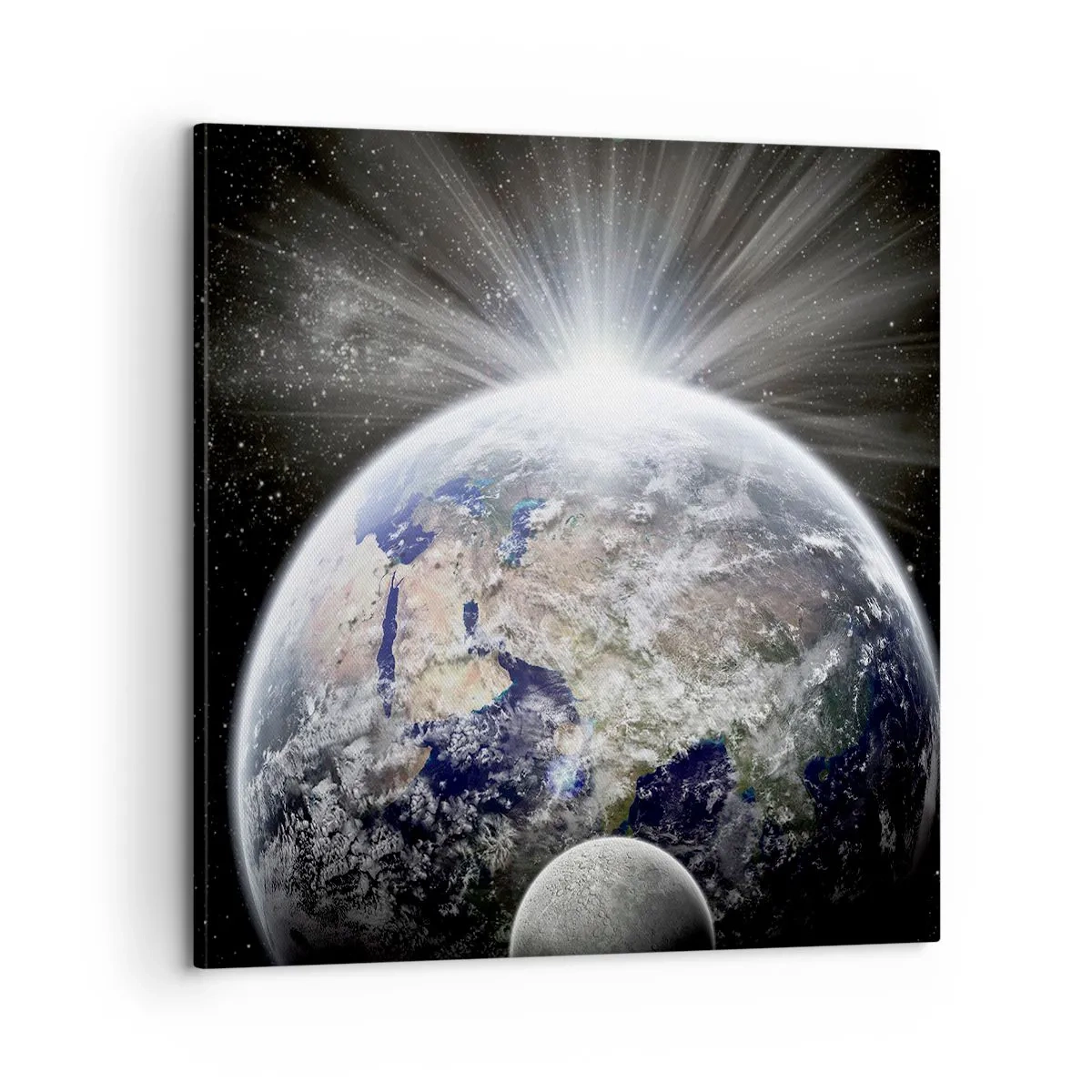 Impression sur toile - Image sur toile - En pleine splendeur - 60x60 cm