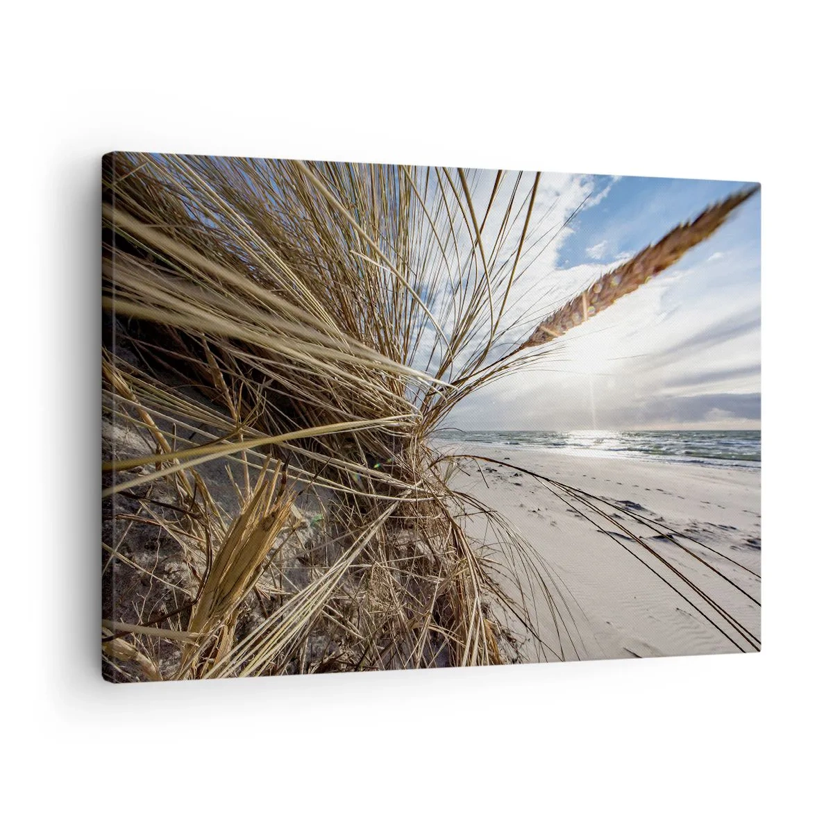 Impression sur toile - Image sur toile - Une plage avec de l'herbe sèche sur les dunes et une vue sur la mer - 70x50cm - Rencontre des éléments - Décoration murale moderne pour le salon et la chambre ARTTOR