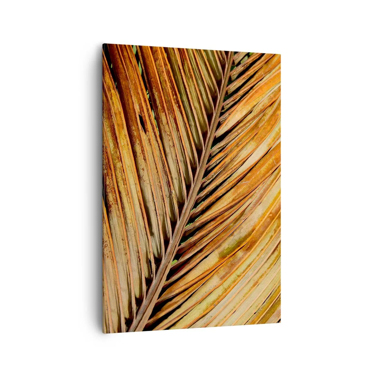 Impression sur toile - Image sur toile - Gros plan d'une feuille de palmier sèche aux tons chauds - 70x100cm - Or de noix de coco - Décoration murale moderne pour le salon et la chambre ARTTOR