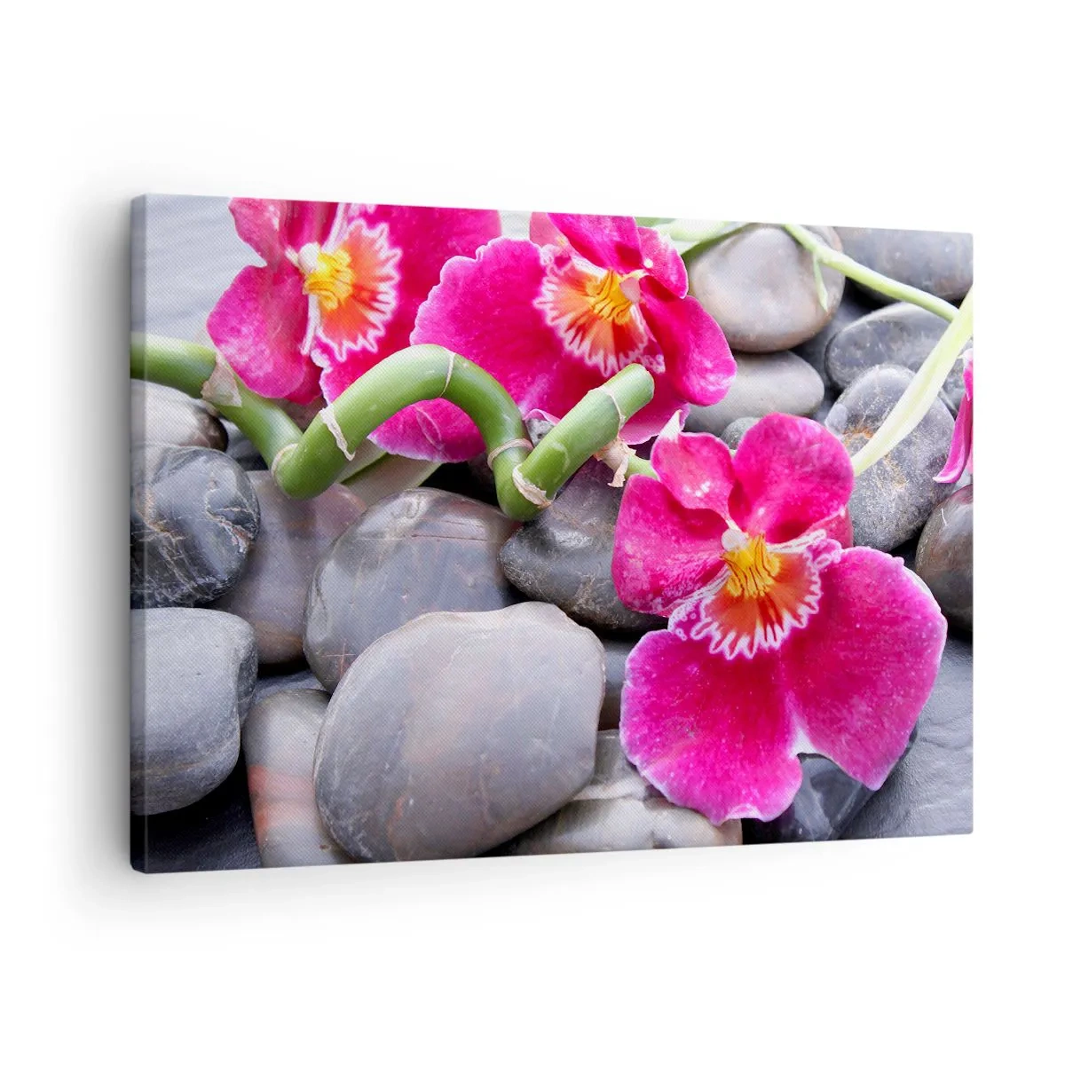 Impression sur toile - Image sur toile - Orchidées roses sur fond de pierres lisses - 70x50cm - Refroidir et chauffer - Décoration murale moderne pour le salon et la chambre ARTTOR