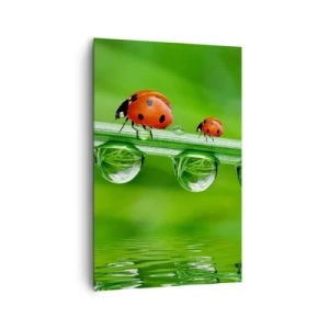 Impression sur toile - Image sur toile - Coccinelles sur un brin d'herbe avec des gouttes de rosée dans un cadre naturel - 80x120cm - Sur la route tout l'été - Décoration murale moderne pour le salon et la chambre ARTTOR