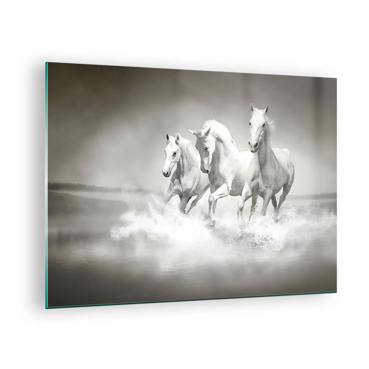 Impression sur verre - Image sur verre - Trois chevaux blancs galopant dans l'eau - 70x50cm - La folie blanche - Décoration murale moderne pour le salon et la chambre ARTTOR