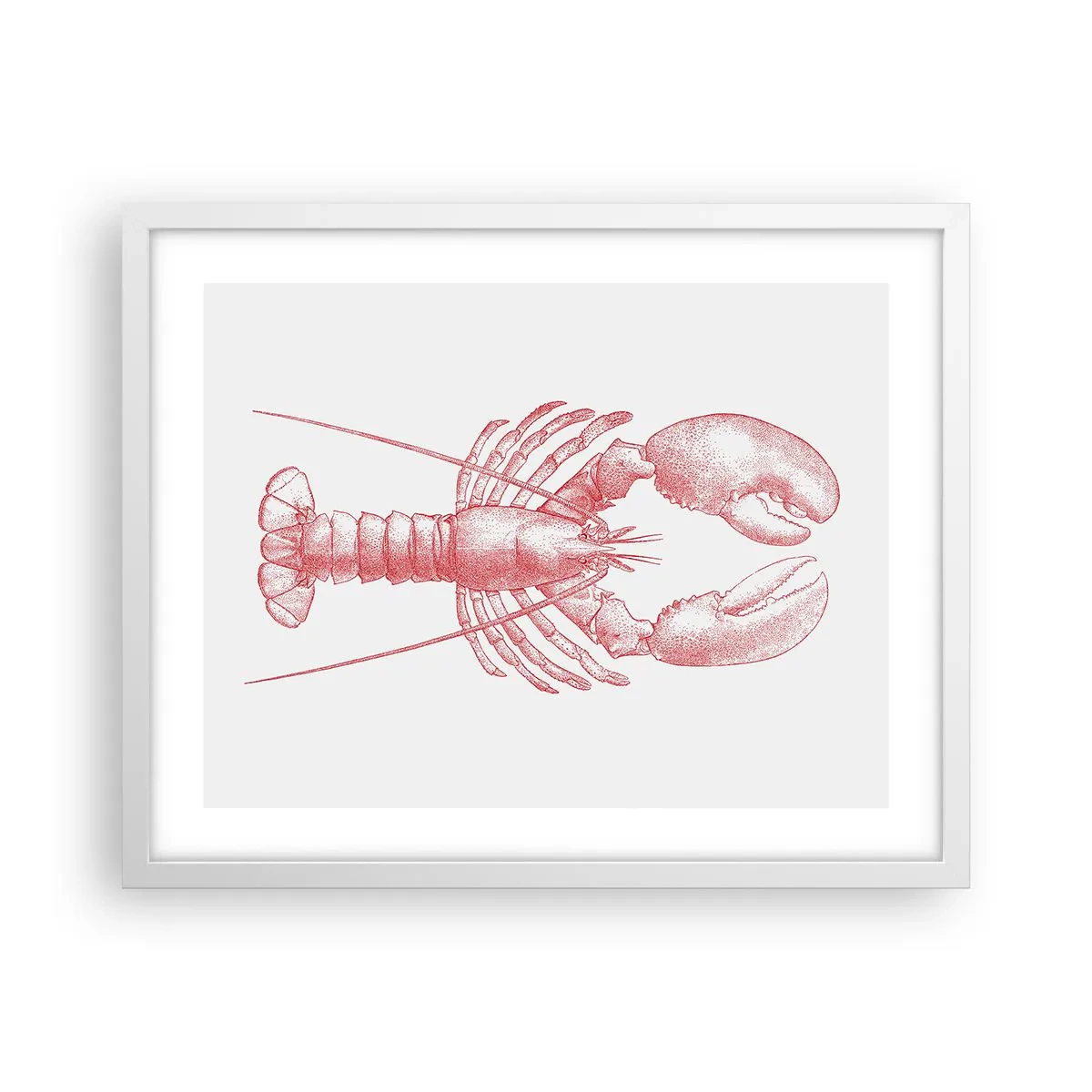 Affiche dans un cadre blanc - Poster - Un homard digne d'Homère - 50x40 cm