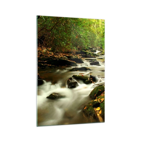 Impression sur verre - Image sur verre - Un ruisseau forestier coulant entre des pierres entourées de verdure - 70x100cm - Comme de l'argent liquide - Décoration murale moderne pour le salon et la chambre ARTTOR