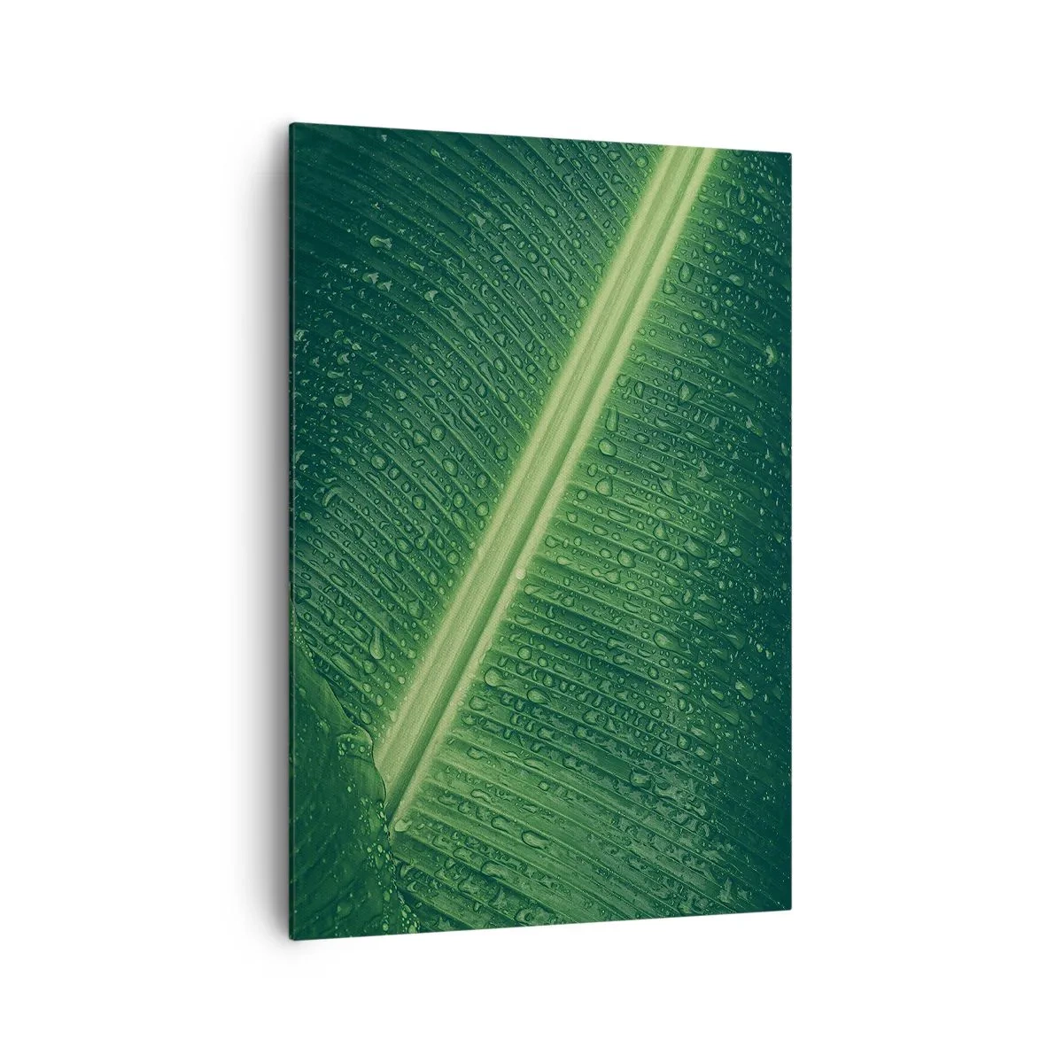 Impression sur toile - Image sur toile - Une feuille verte avec des gouttes d'eau à sa surface - 70x100cm - Structure de vert - Décoration murale moderne pour le salon et la chambre ARTTOR