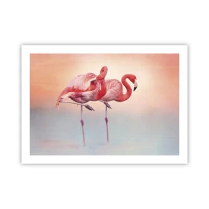 Affiche - Poster - Dans les couleurs du soleil couchant - 70x50 cm