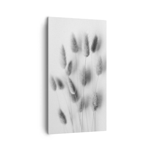 Impression sur toile - Image sur toile - Son herbe duveteuse - 45x80 cm