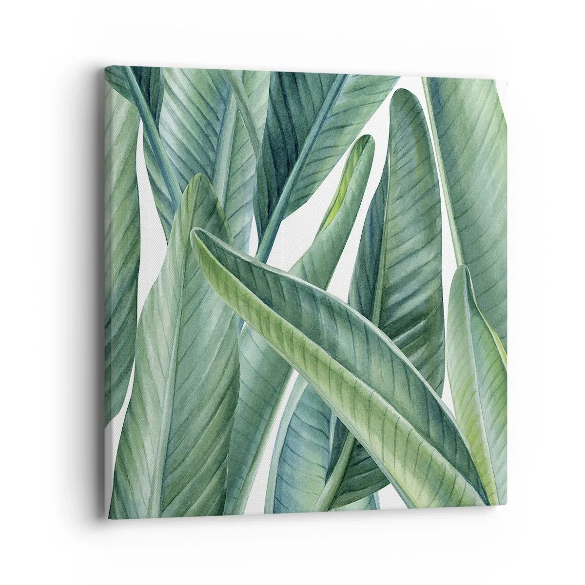 Impression sur toile - Image sur toile - La nature face à elle-même - 40x40 cm