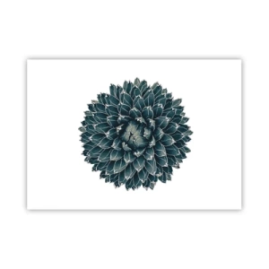 Affiche - Poster - Plante succulente symétrique sur fond blanc - 100x70cm - Étoile du désert - Décoration murale moderne pour le salon et la chambre ARTTOR
