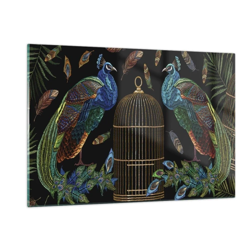 Impression sur verre - Image sur verre - Paons colorés et une cage sur fond noir - 120x80cm - En robes royales - Décoration murale moderne pour le salon et la chambre ARTTOR