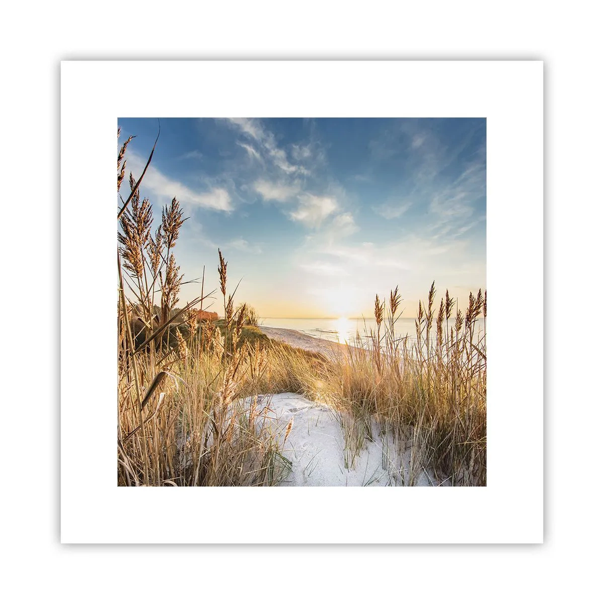 Affiche - Poster - Plage du nord - 30x30 cm