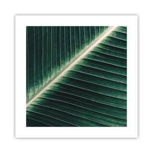 Affiche - Poster - Le rythme de la nature - 40x40 cm