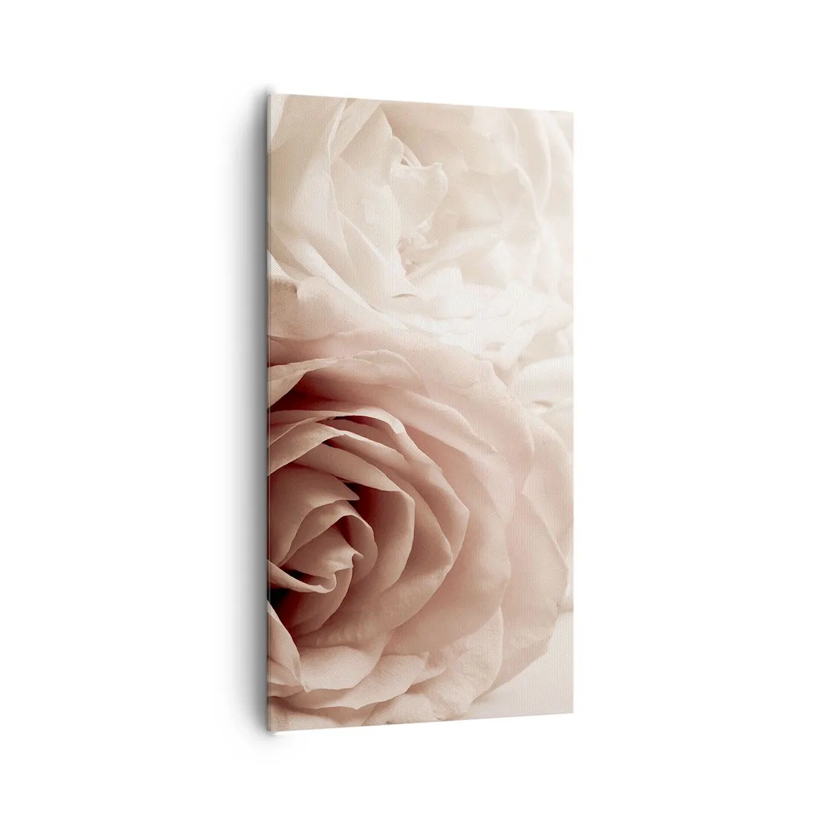 Impression sur toile - Image sur toile - Au coeur d'ue la rose - 65x120 cm