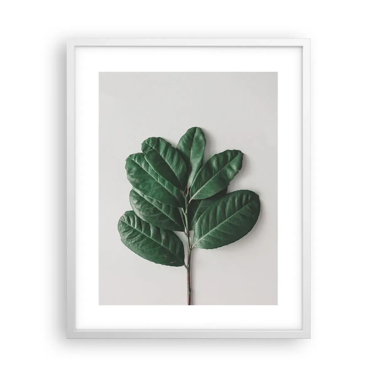 Affiche dans un cadre blanc - Poster - Dessin de la nature elle-même - 40x50 cm