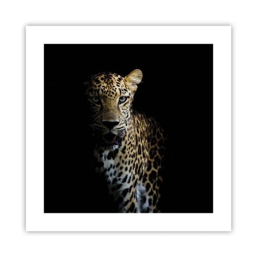 Affiche - Poster - Beauté sombre - 40x40 cm
