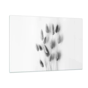 Impression sur verre - Image sur verre - Épis d'herbe noirs et blancs sur fond clair dans un style minimaliste - 120x80cm - Son herbe duveteuse - Décoration murale moderne pour le salon et la chambre ARTTOR