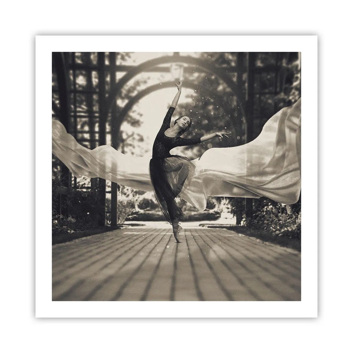 Affiche - Poster - La danse de l'esprit jardin - 60x60 cm