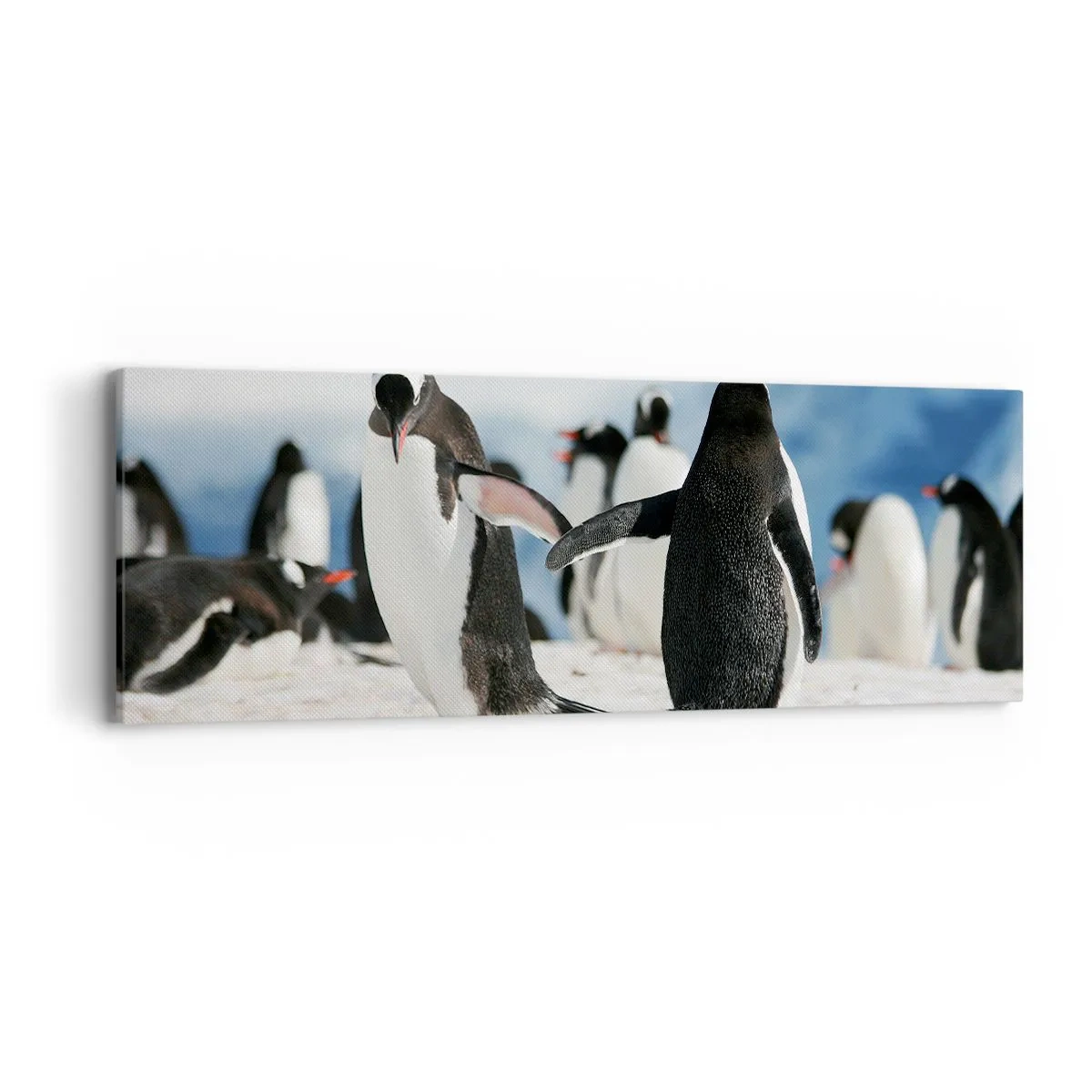 Impression sur toile - Image sur toile - Danser dans la neige - 90x30 cm