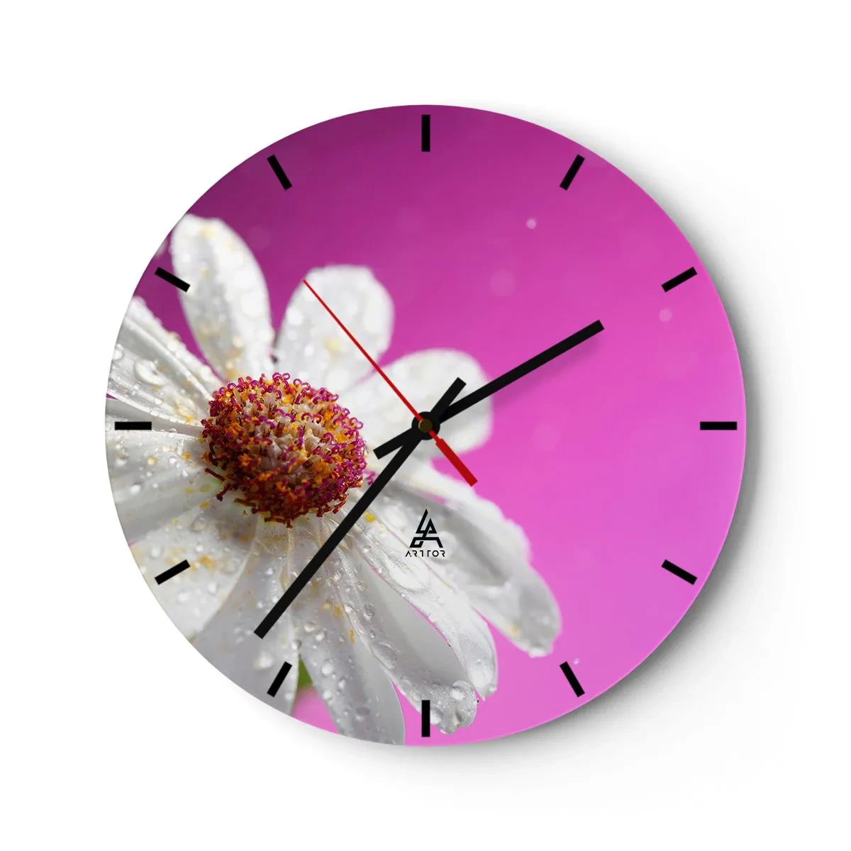 Horloge murale - Pendule murale - Une marguerite blanche recouverte de gouttes d'eau sur un fond rose - 30x30cm - Modeste dans sa beauté - Décoration murale moderne pour le salon, la cuisine et la chambre ARTTOR