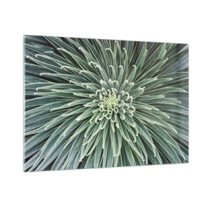 Impression sur verre - Image sur verre - Rosette symétrique de feuilles vertes en macrophotographie - 100x70cm - Naissance d'une étoile - Décoration murale moderne pour le salon et la chambre ARTTOR