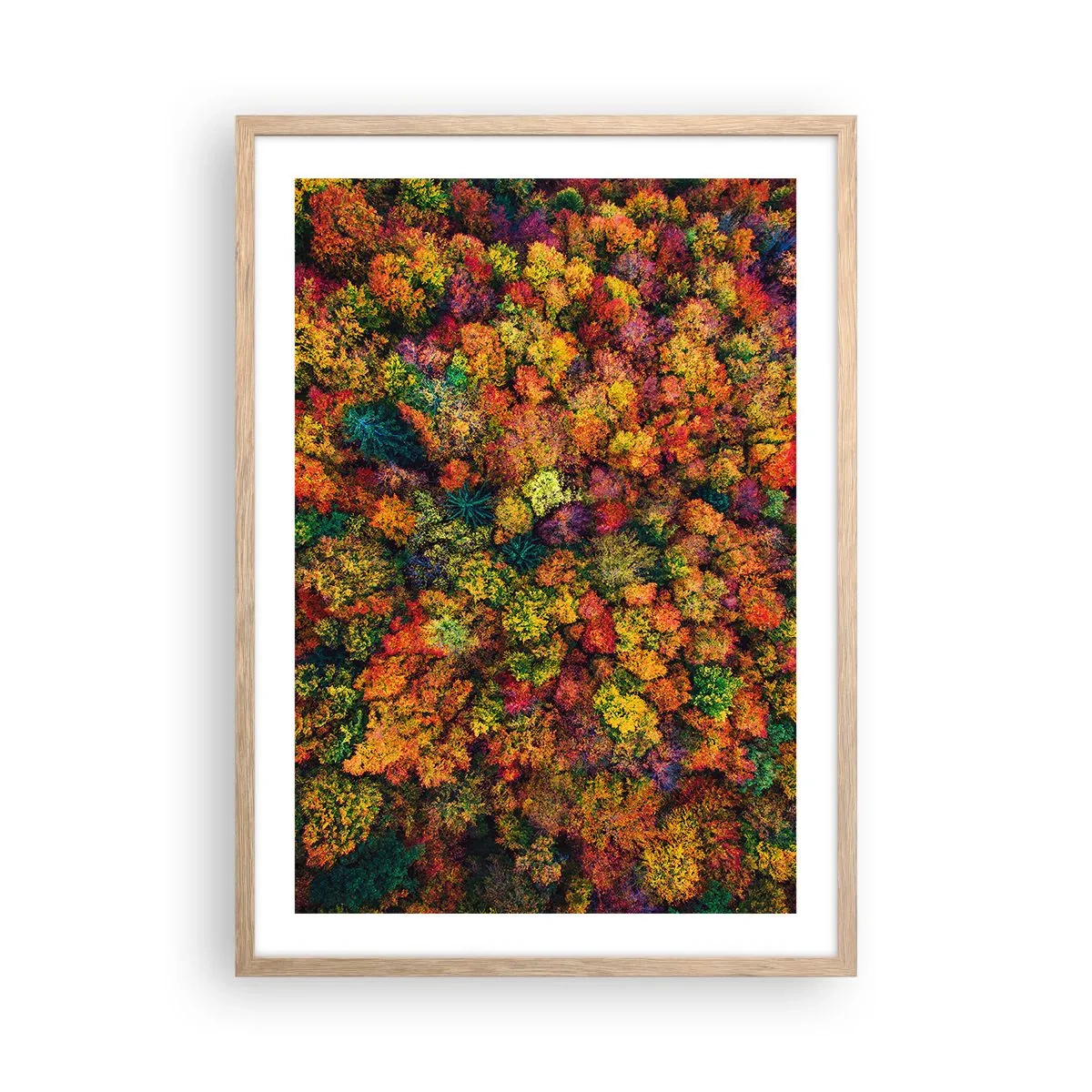 Affiche dans un chêne clair - Poster - Bouquet d'arbres automnal - 50x70 cm