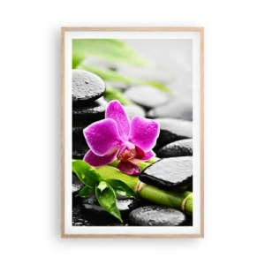 Affiche dans un chêne clair - Poster - Dans un équilibre de calme - 61x91 cm