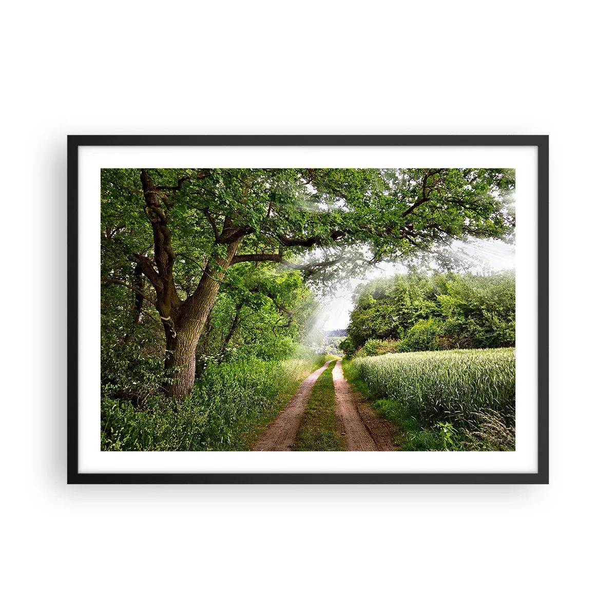 Affiche dans un cadre noir - Poster - Un chemin de terre parmi les arbres verts et la lumière du soleil - 70x50cm - Et in Arcadia ego - Décoration murale moderne pour le salon et la chambre ARTTOR