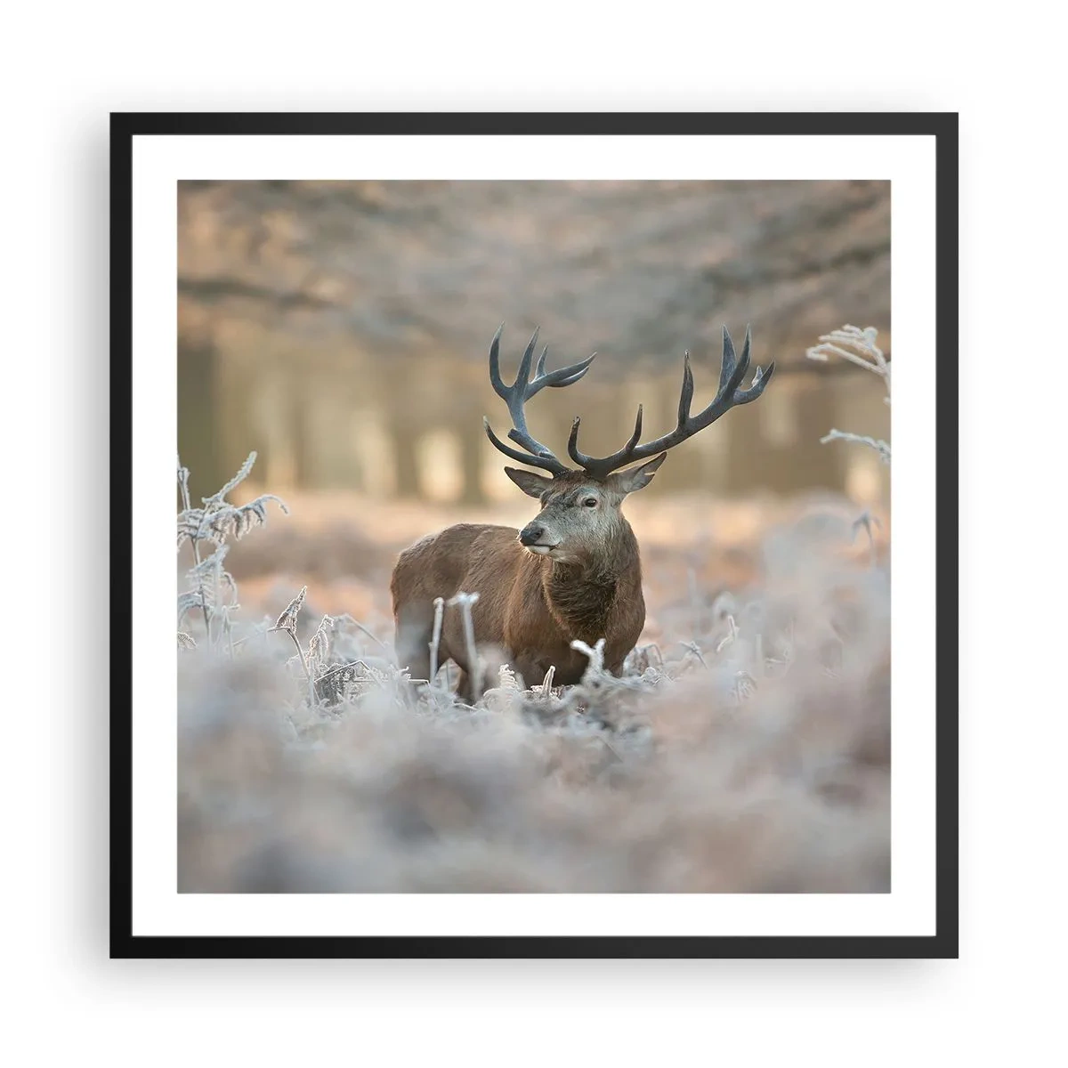 Affiche dans un cadre noir - Poster - Une matinée animée - 60x60 cm