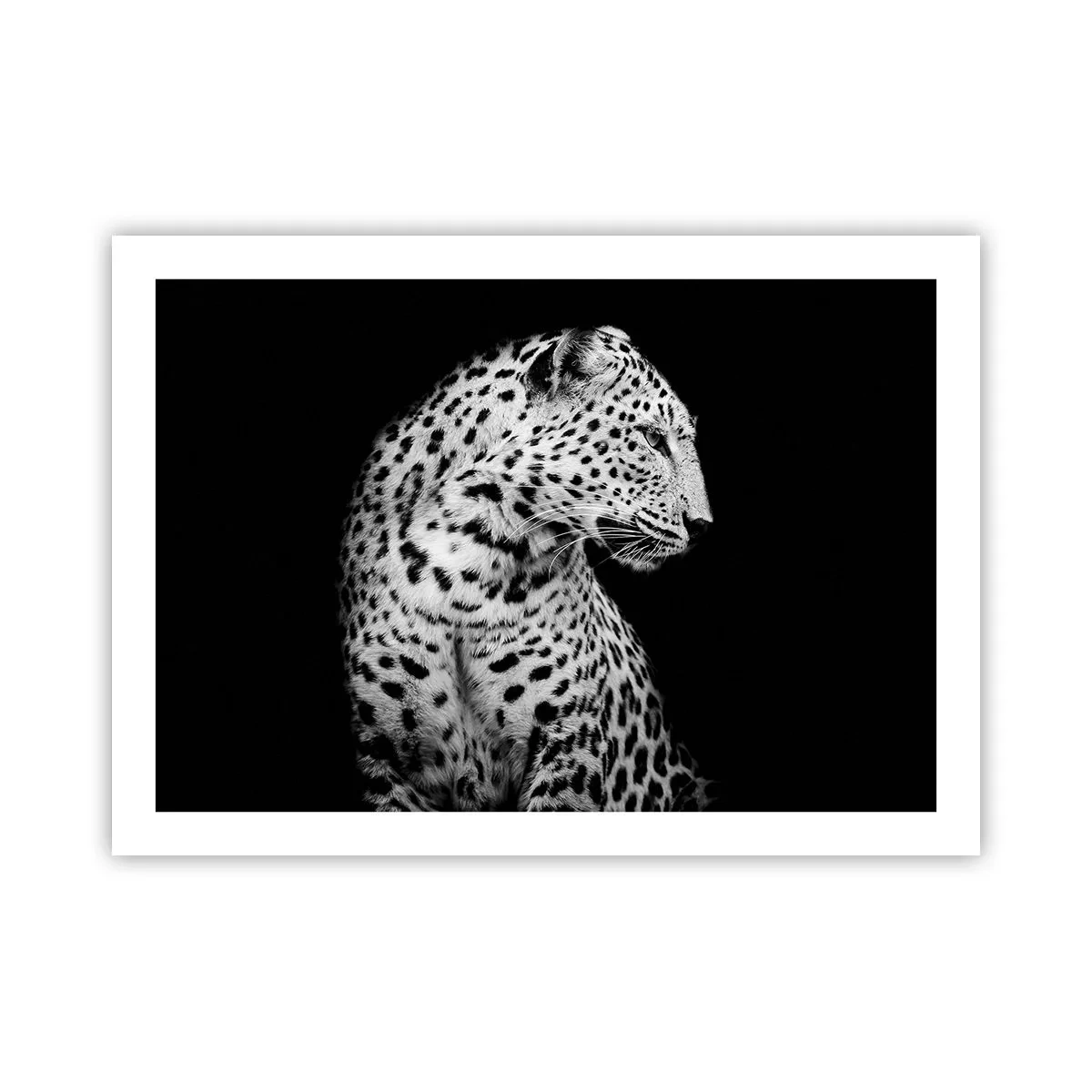 Affiche - Poster - Presque un profil parfait! - 70x50 cm