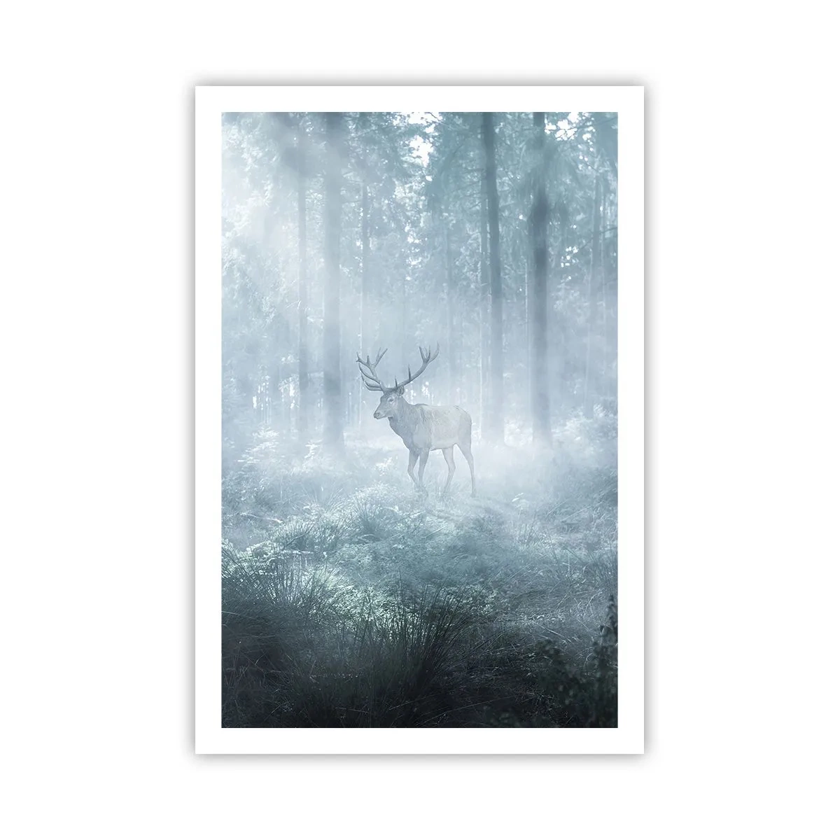 Affiche - Poster - Visite matinale du domaine - 61x91 cm