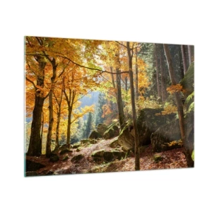 Impression sur verre - Image sur verre - Forêt d'automne avec rayons de soleil et pierres - 100x70cm - Il est temps de se détendre - Décoration murale moderne pour le salon et la chambre ARTTOR