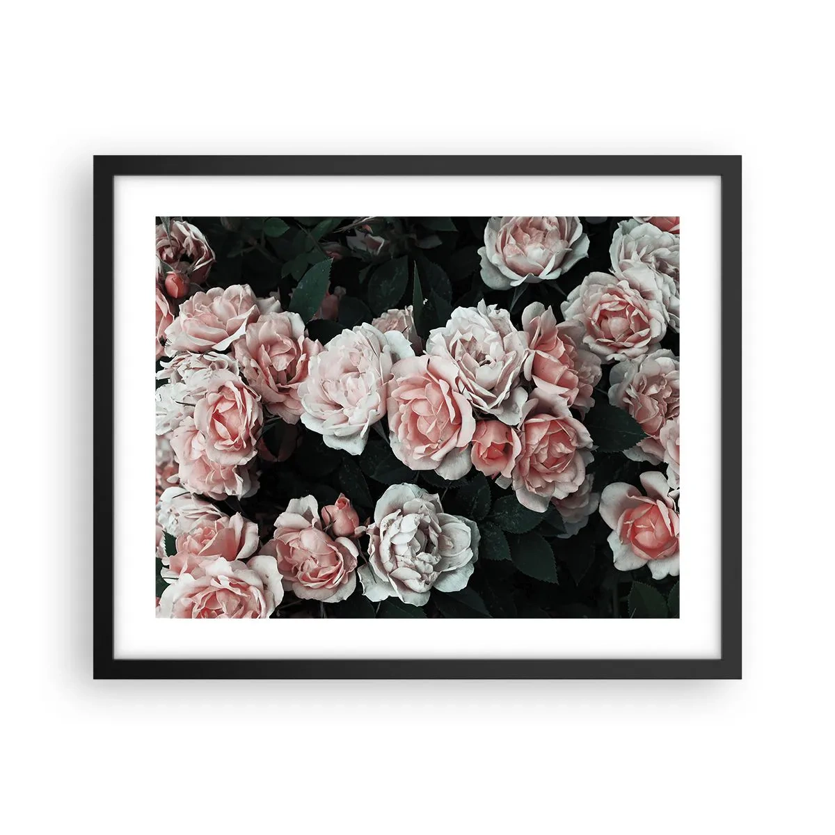 Affiche dans un cadre noir - Poster - Ensemble de rose - 50x40 cm