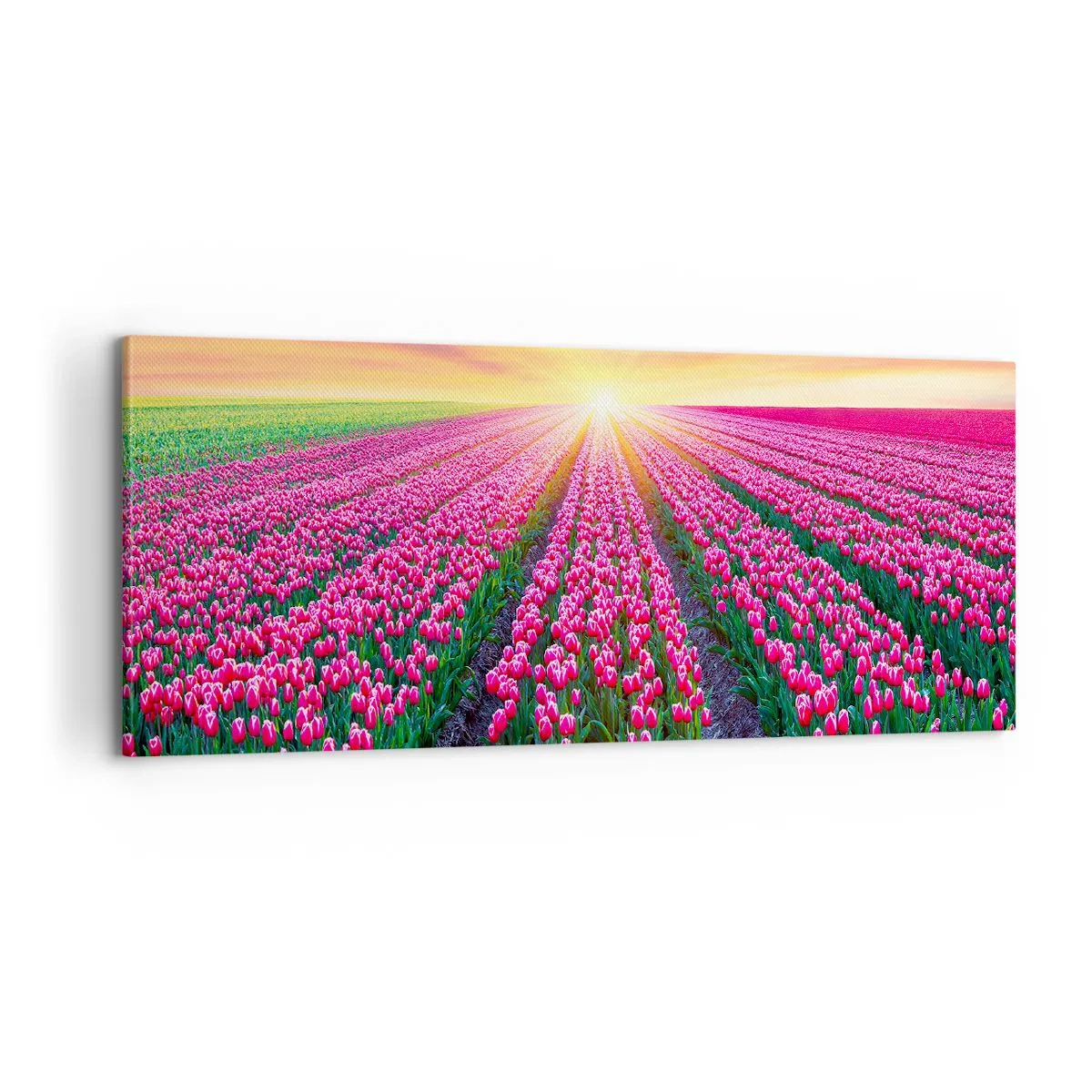 Impression sur toile - Image sur toile - Ferme de la beauté - 100x40 cm