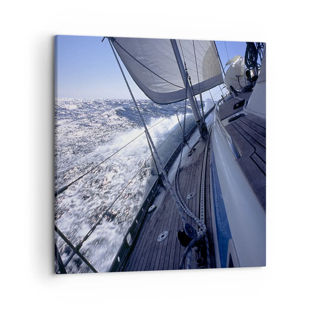 Impression sur toile - Image sur toile - Je sais ce que c'est d'être un oiseau - 50x50 cm