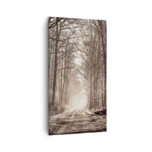Impression sur toile - Image sur toile - Cathédrale de la forêt - 55x100 cm
