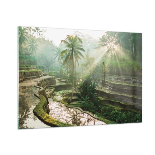Impression sur verre - Image sur verre - Rizières tropicales avec palmiers dans la brume matinale - 100x70cm - Grandir au soleil - Décoration murale moderne pour le salon et la chambre ARTTOR