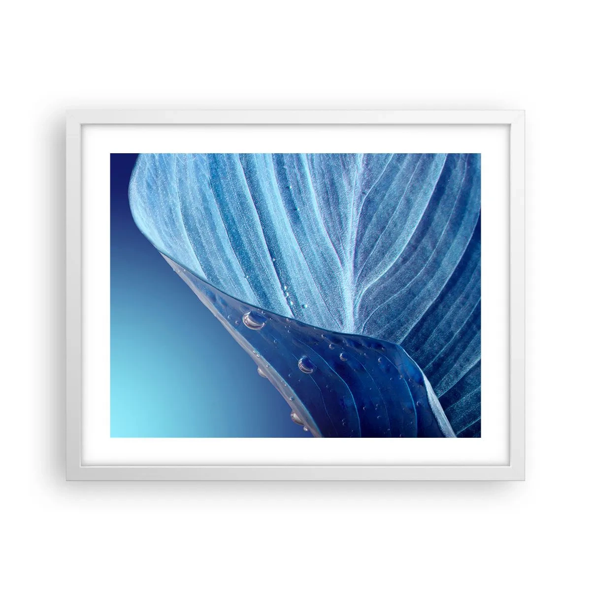 Affiche dans un cadre blanc - Poster - Gouttes cachées du bleu - 50x40 cm