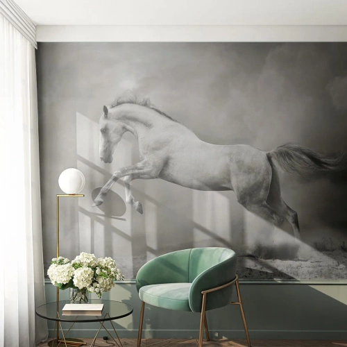Papier peint sur mesure Autocollant Deluxe - Entre le réveil et le sommeil - Animaux, Cheval, Nature