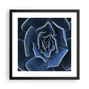Affiche dans un cadre noir - Poster - Fleur du désert - 40x40 cm