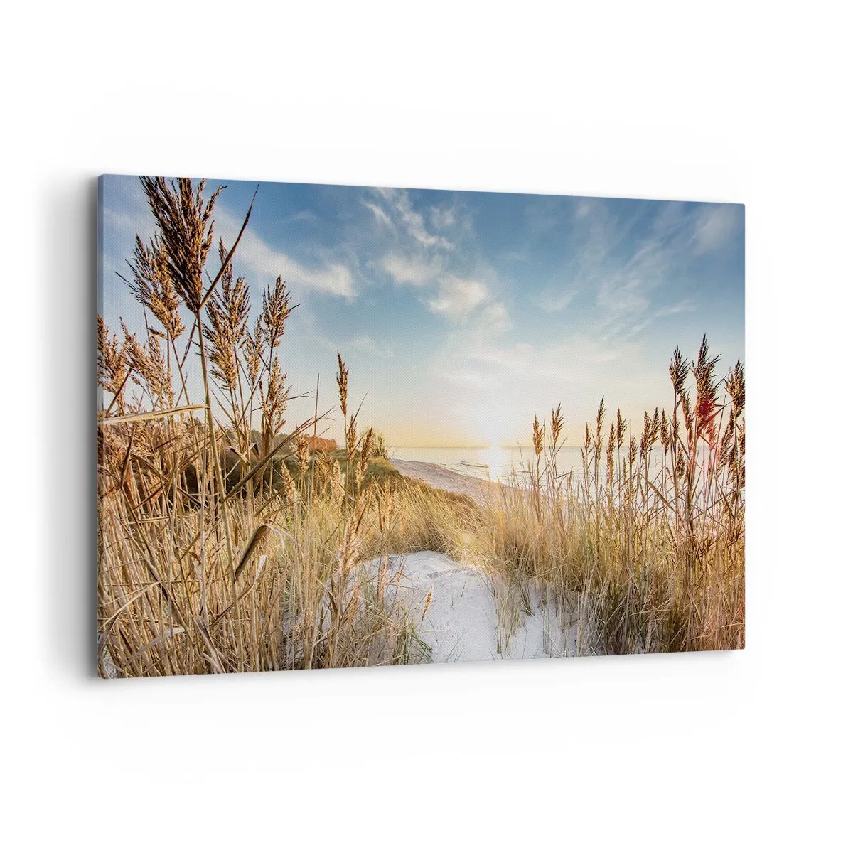 Impression sur toile - Image sur toile - Une plage pittoresque avec de l'herbe et le soleil couchant - 120x80cm - Plage du nord - Décoration murale moderne pour le salon et la chambre ARTTOR