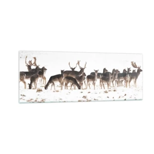 Impression sur verre - Image sur verre - Un troupeau de cerfs sur fond de neige - 140x50cm - Les fêtes approchent ? - Décoration murale moderne pour le salon et la chambre ARTTOR