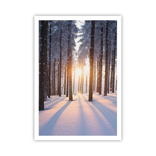 Affiche - Poster - Clairement en noir et blanc - 70x100 cm