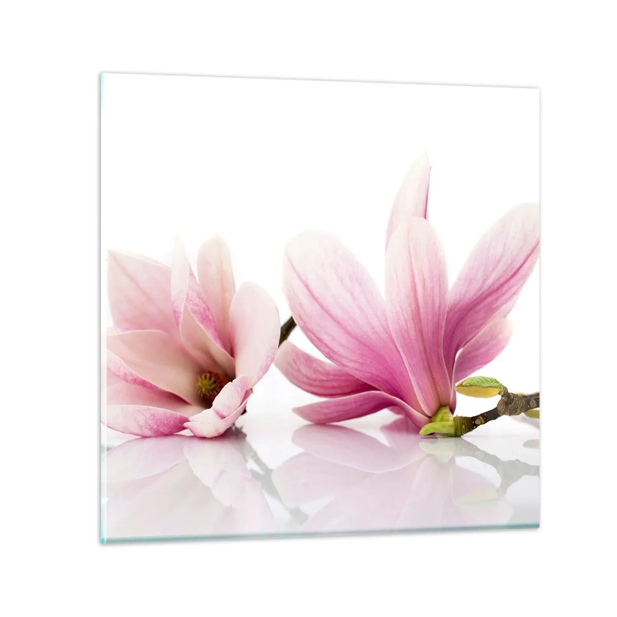 Impression sur verre - Image sur verre - Délicat comme une brise de printemps - 60x60 cm