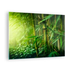 Impression sur verre - Image sur verre - Forêt de bambous verts au soleil - 70x50cm - Apprenez à connaître le vert lui-même - Décoration murale moderne pour le salon et la chambre ARTTOR